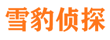 长春找人公司